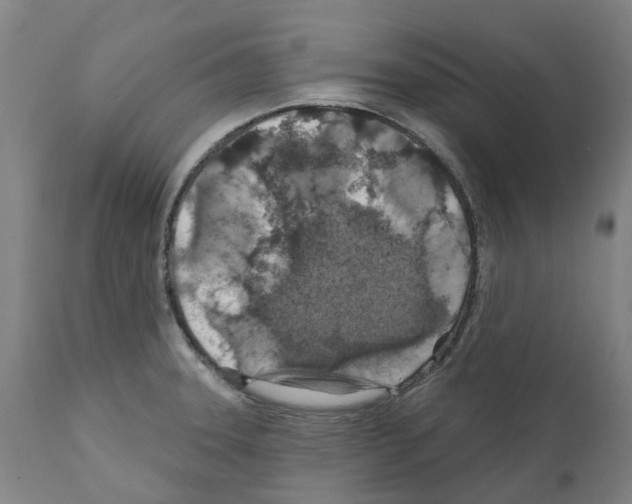 X0000112381331200909241205