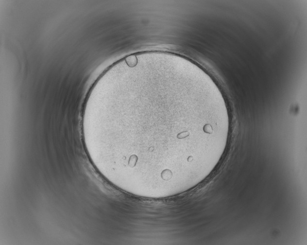 X0000112381332200909241205