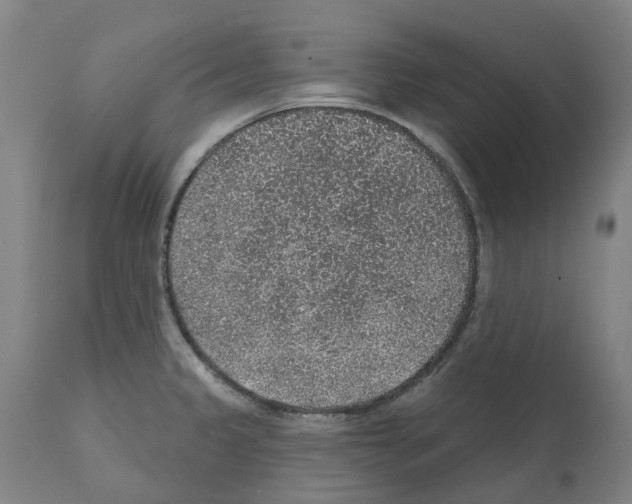 X0000112381333200909241205