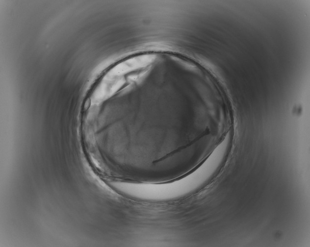 X0000112381334200909241205