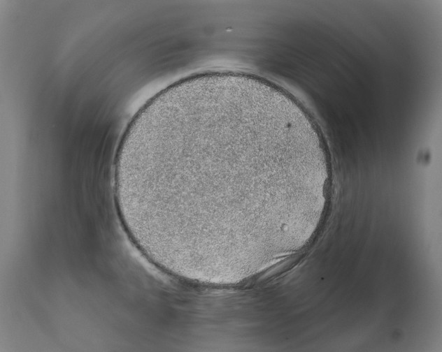 X0000112381335200909241205