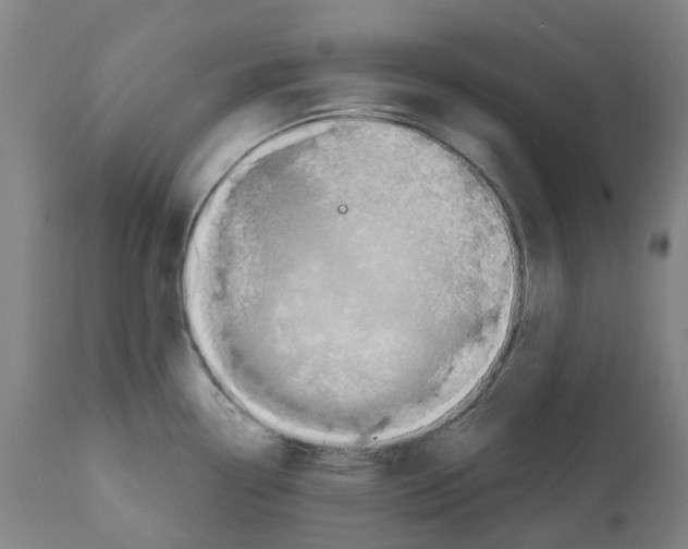 X0000112381338200909241205