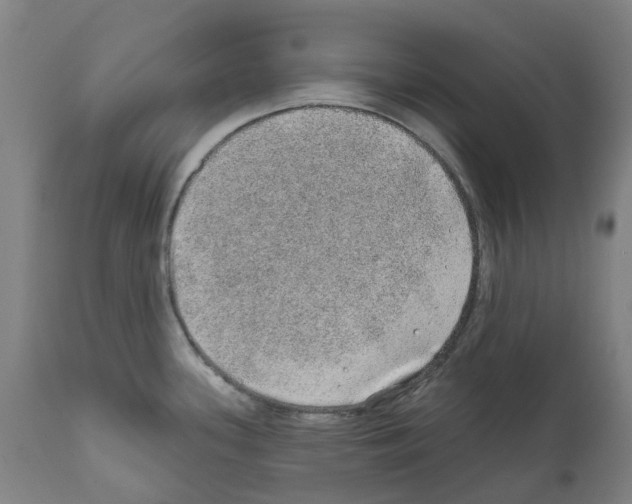 X0000112381339200909241205