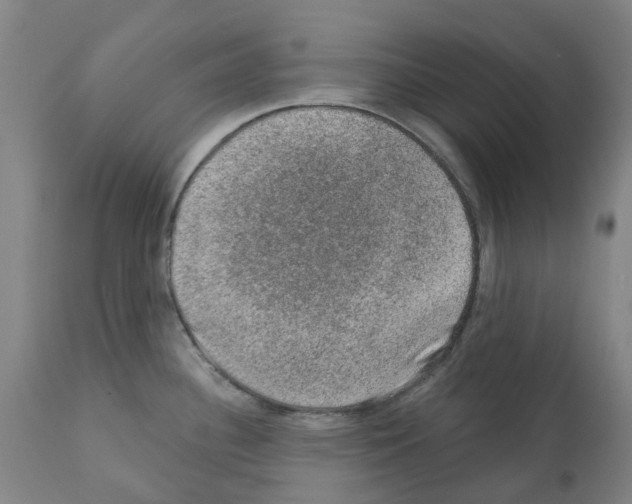 X0000112381340200909241205