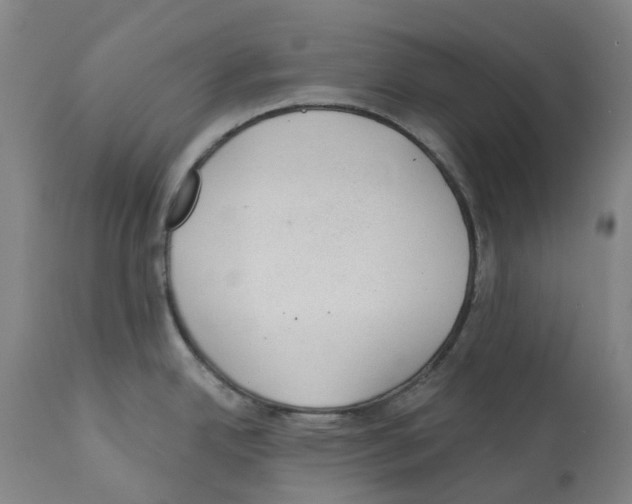 X0000112381342200909241205