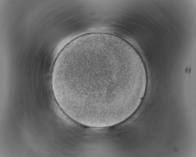 X0000112381344200909241205