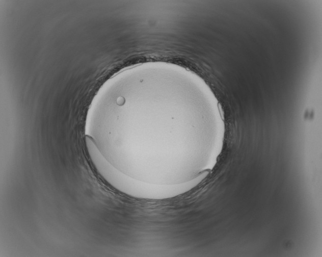 X0000112381345200909241205