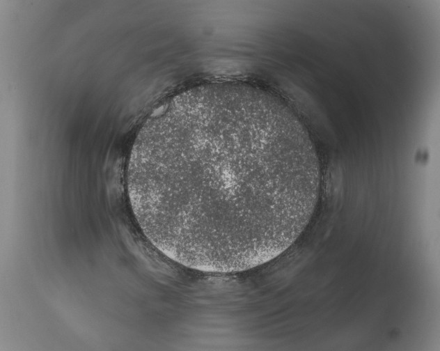 X0000112381346200909241205