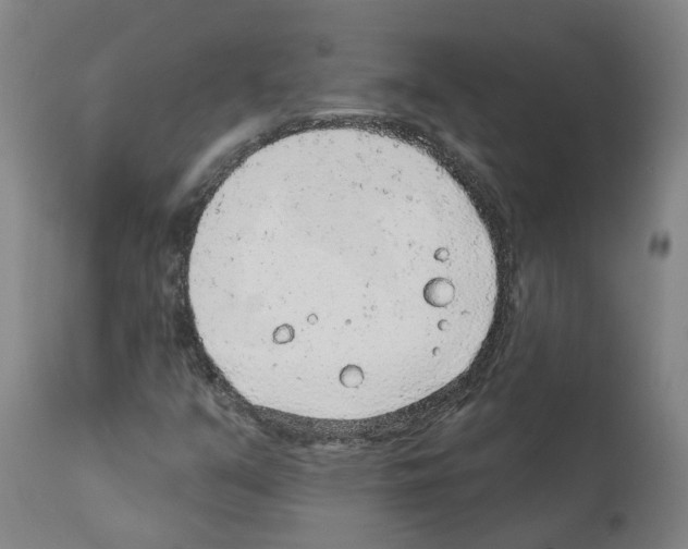 X0000112381351200909241205