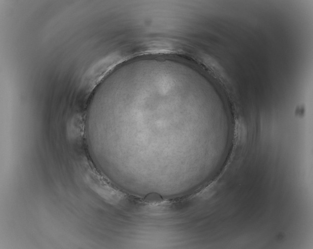 X0000112381353200909241204