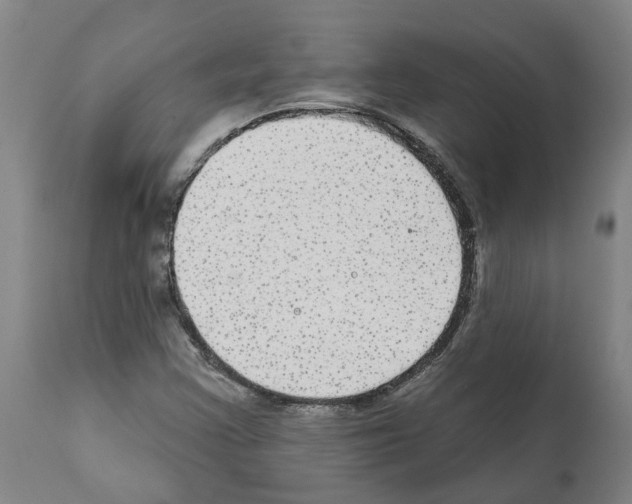 X0000112381355200909241204