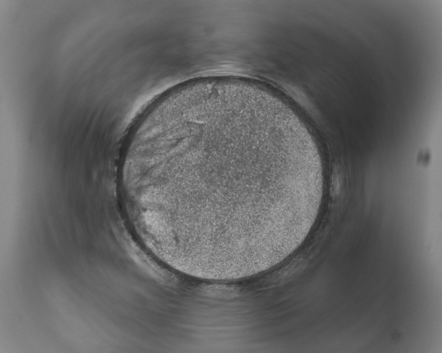 X0000112381356200909241204