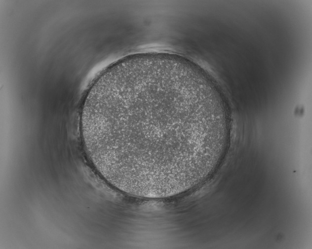 X0000112381358200909241204