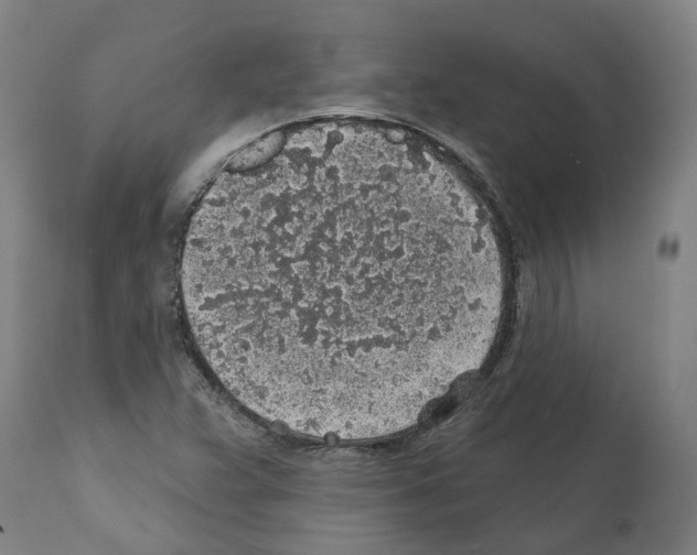 X0000112381359200909241204