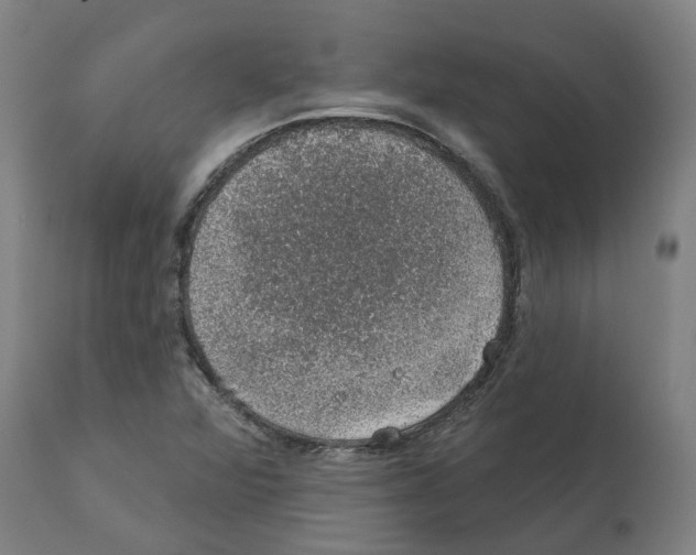 X0000112381360200909241204