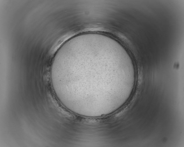 X0000112381361200909241204