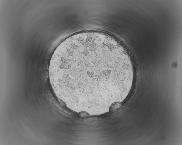 X0000112381363200909241204