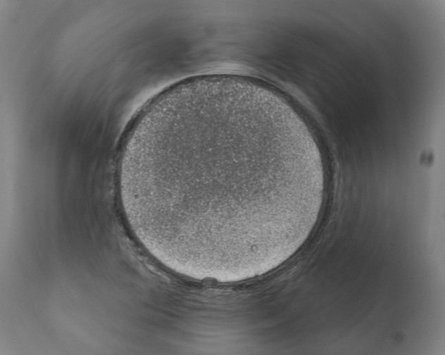 X0000112381364200909241204