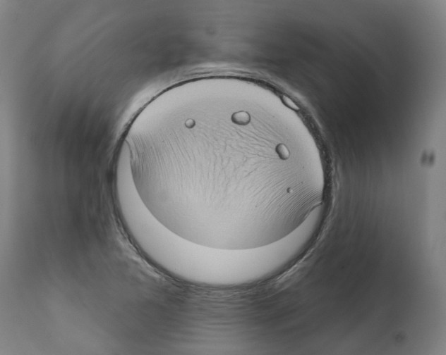 X0000112381365200909241204