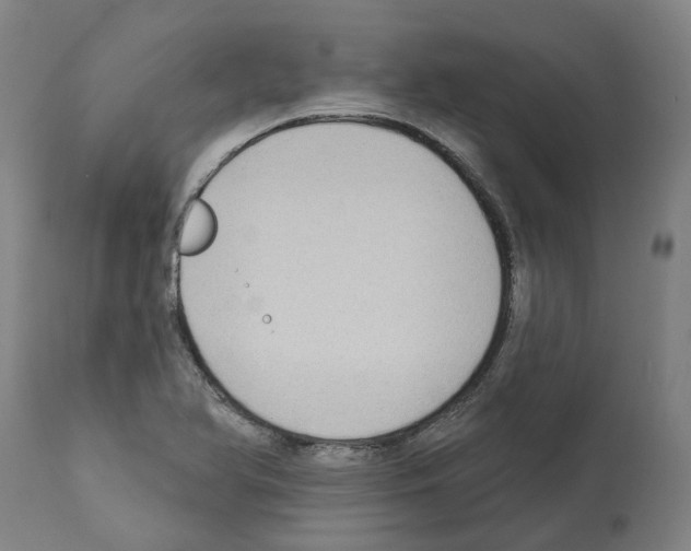 X0000112381366200909241204