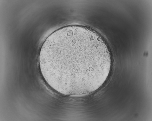 X0000112381367200909241204