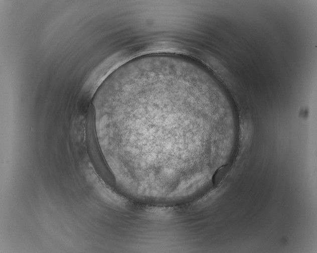 X0000112381369200909241204