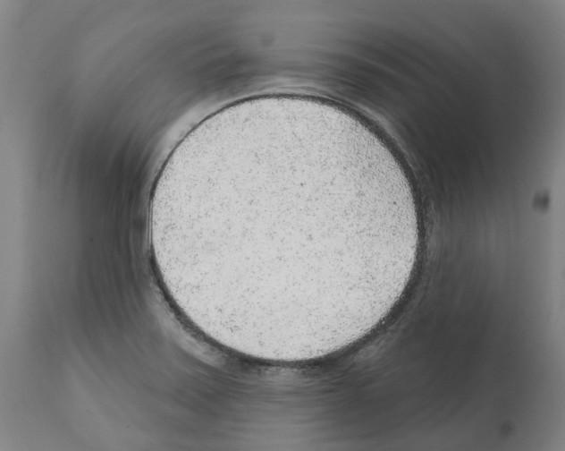 X0000112381371200909241204