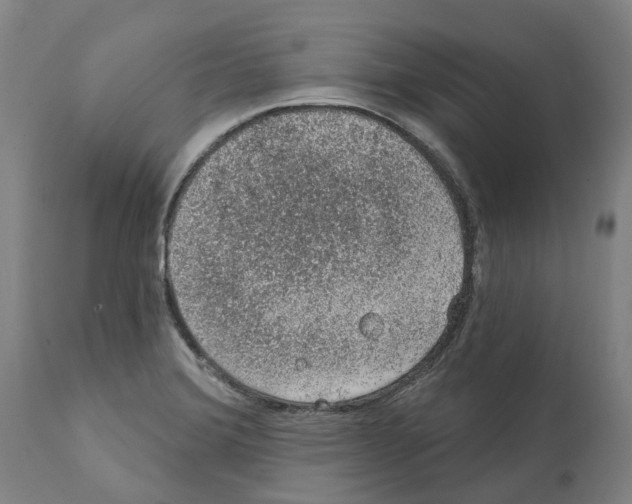 X0000112381372200909241204