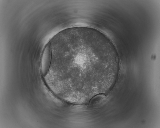 X0000112381373200909241204