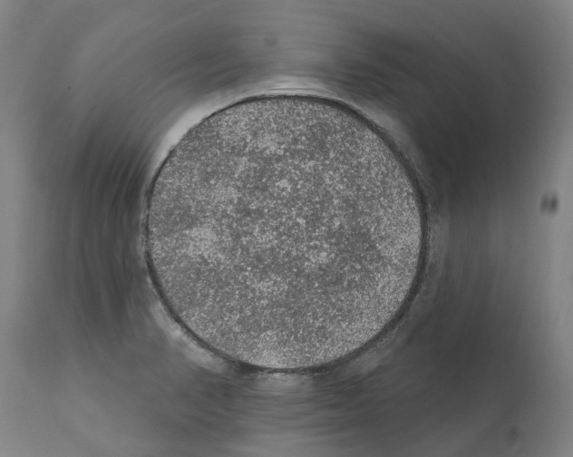 X0000112381374200909241204