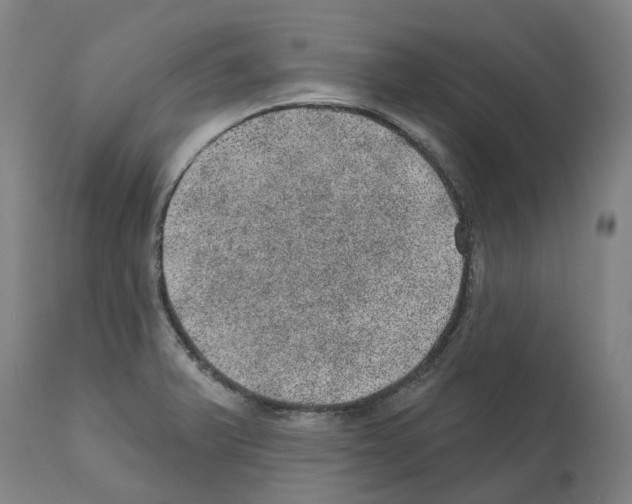 X0000112381375200909241204