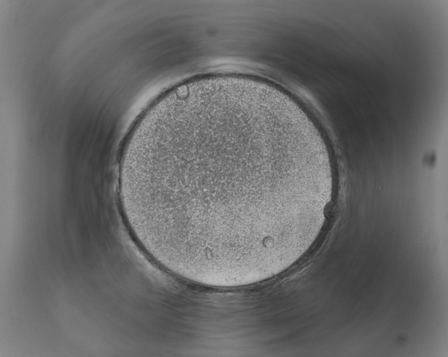 X0000112381376200909241204