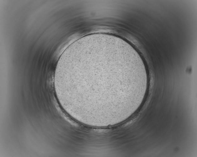 X0000112381377200909241204