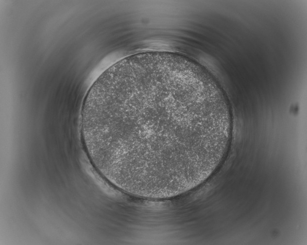 X0000112381378200909241204