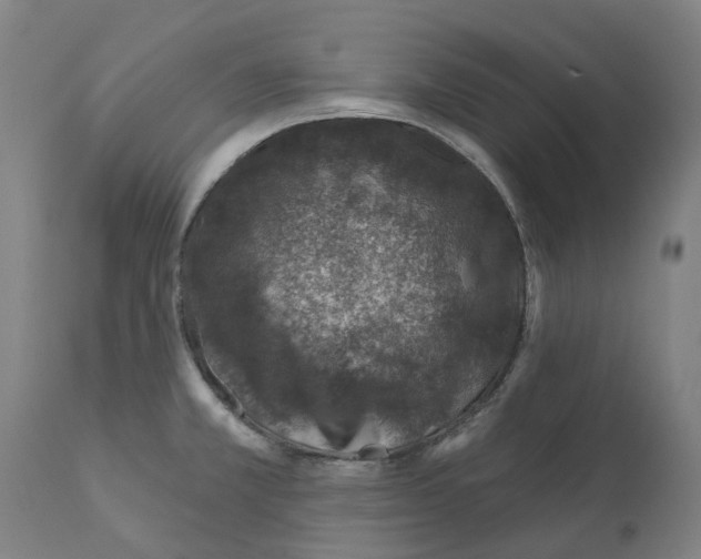 X0000112381381200909241204