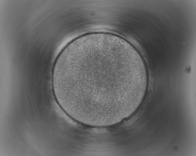 X0000112381384200909241204