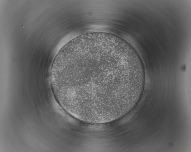 X0000112381386200909241204