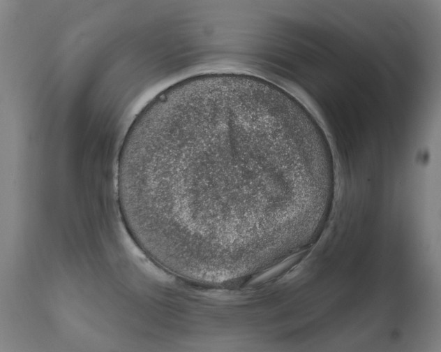 X0000112381388200909241204