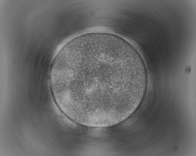 X0000112381390200909241204