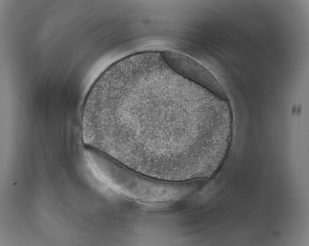 X0000112381392200909241204