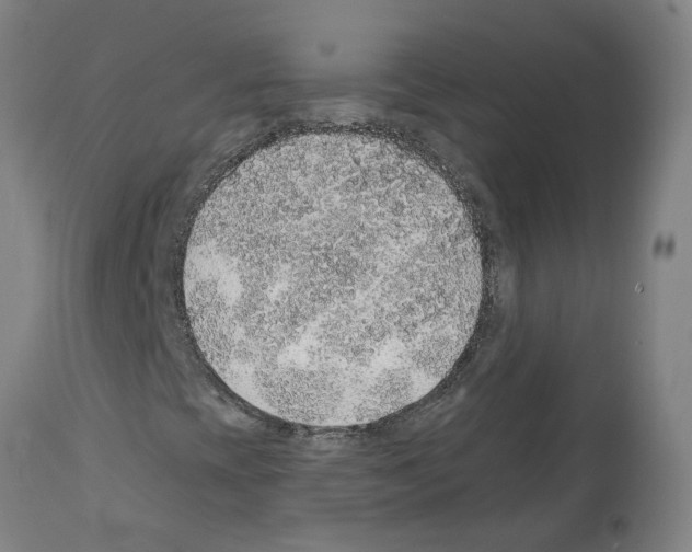 X0000112381393200909241203