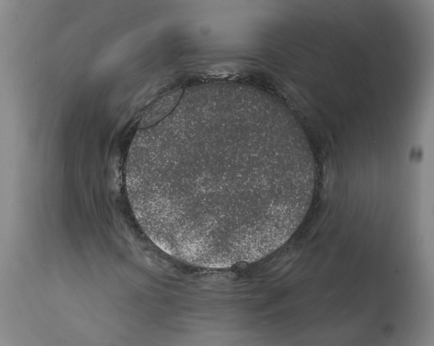 X0000112381394200909241203