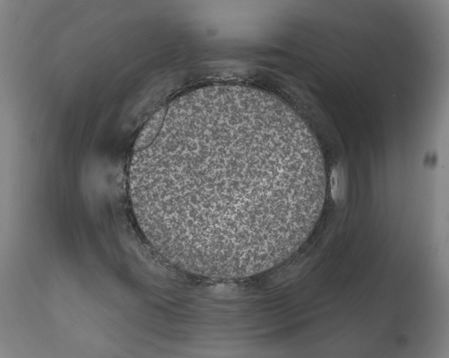 X0000112381395200909241203