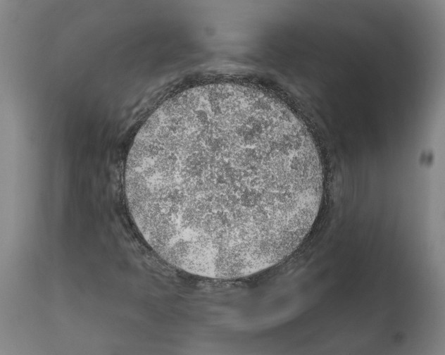 X0000112381397200909241203