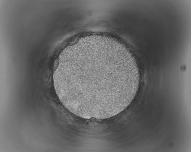 X0000112381398200909241203