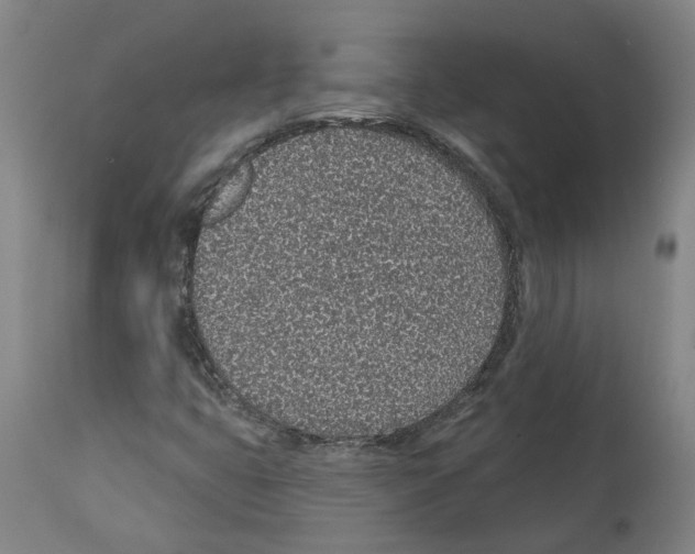 X0000112381399200909241203