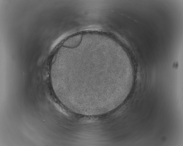 X0000112381400200909241203