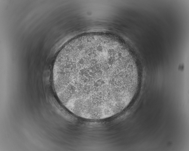 X0000112381401200909241203