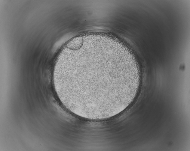 X0000112381402200909241203