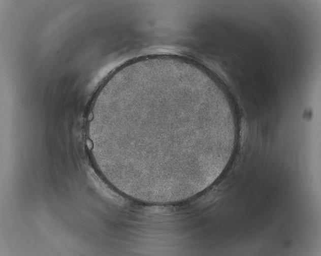 X0000112381404200909241203